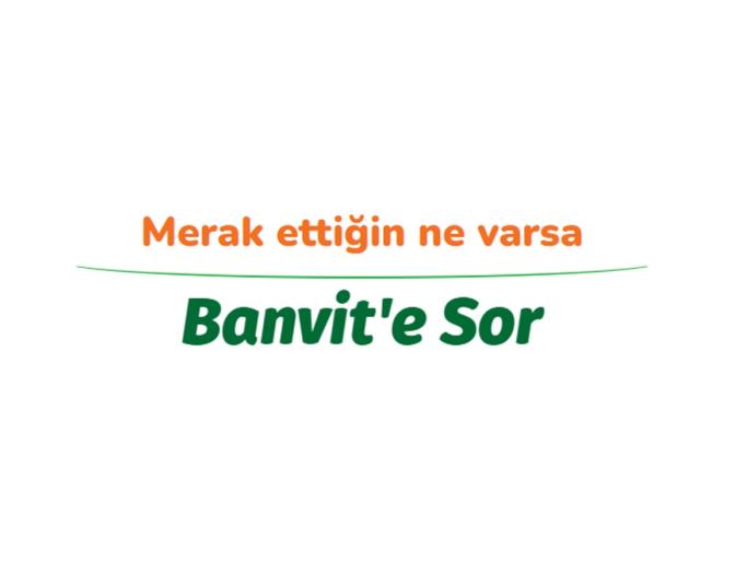 Banvit'e sor